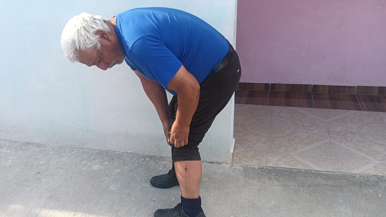 Registra Parras 4 ataques de perros