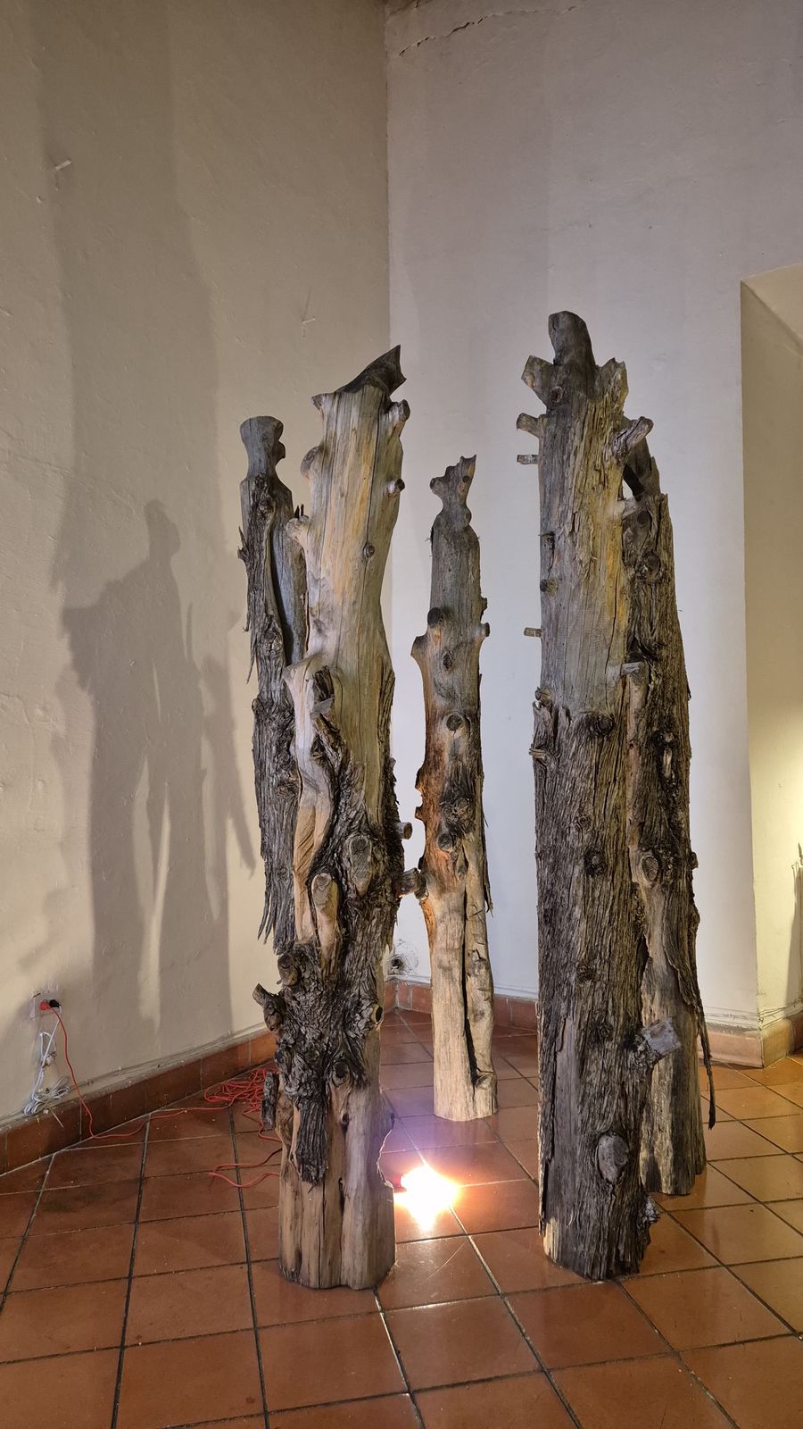 Inauguran “Xilodendros” en Parras: el arte que le da voz a un bosque perdido por la sequía
