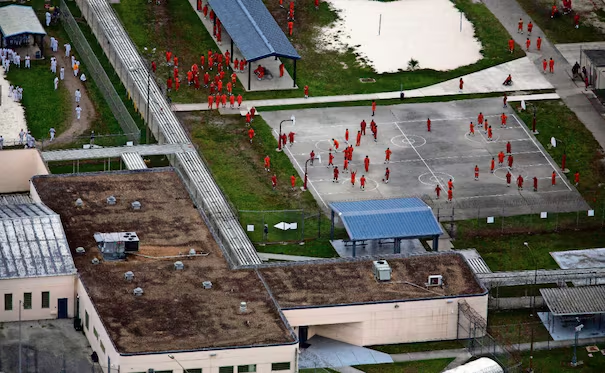 Muertes por s*icidio en centros del ICE alcanzan ritmo “alarmante”, reporta AP; “algo está saliendo profundamente mal», dice experto