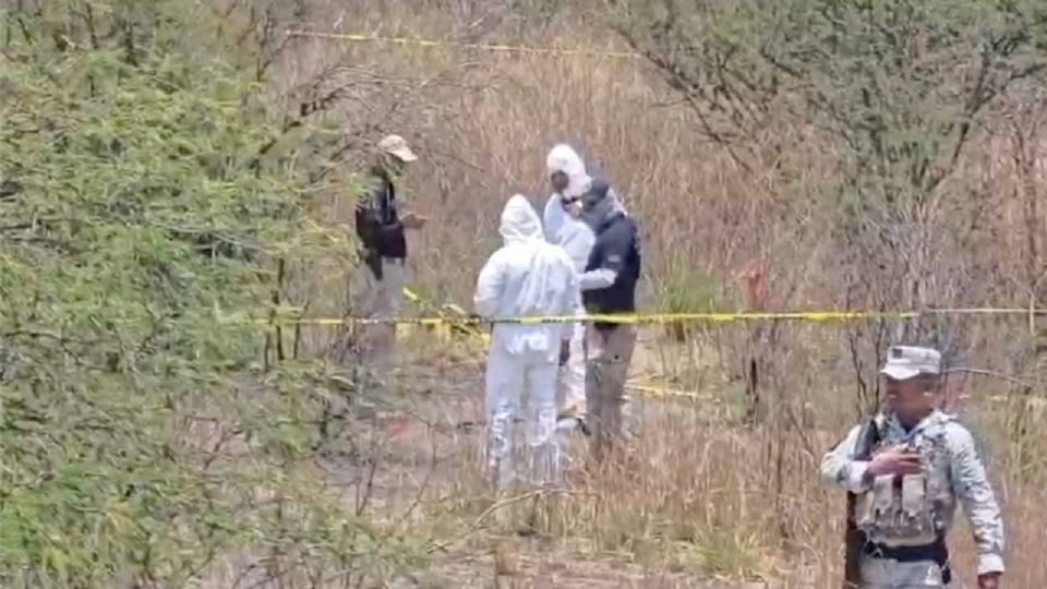 Hallan los cu3rpos de al menos siete personas en una fosa clandestina en Villagrán, Guanajuato