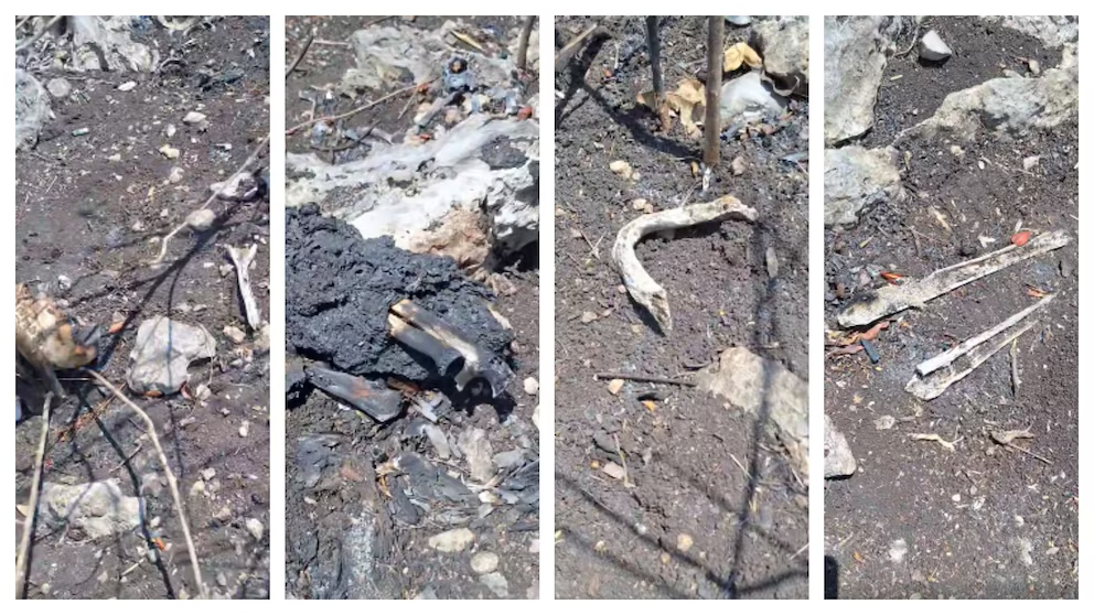 Restos de hasta 100 cuerp0s y una identificación militar: lo hallado en posible campo de exterminio por Madres buscadoras en Chiapas