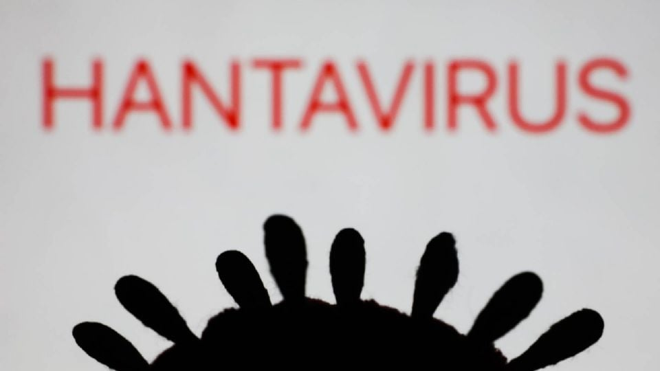 De Latinoamérica a Europa: así se propagó el hantavirus del crucero MV Hondius