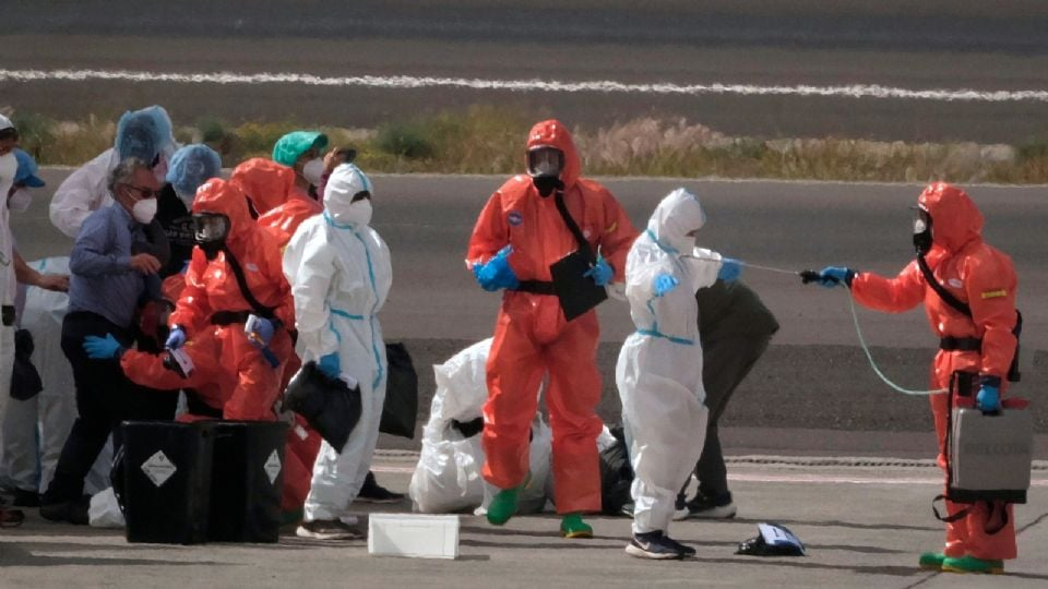 Brote de hantavirus: suman nueve casos notificados, de los que dos no se han confirmado