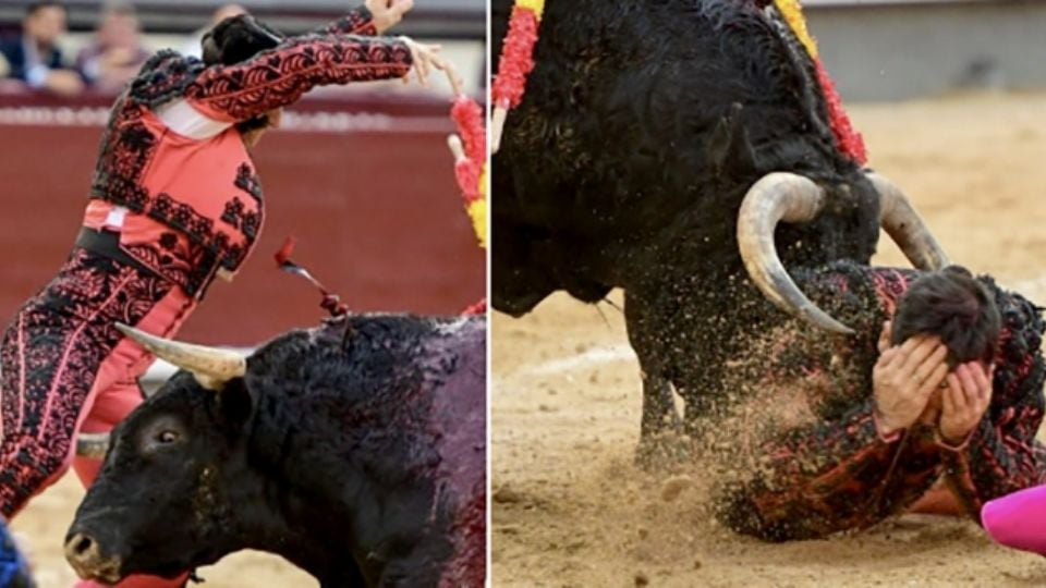 Banderillero sufre grave cornada en la Feria de la Comunidad de Madrid: le atravesó 25 centímetros el muslo