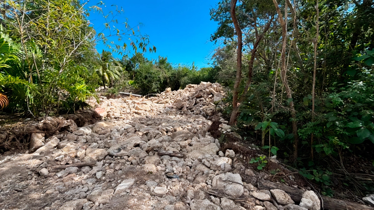 Semarnat recibe más de 14,000 opiniones sobre proyecto Perfect Day en Mahahual