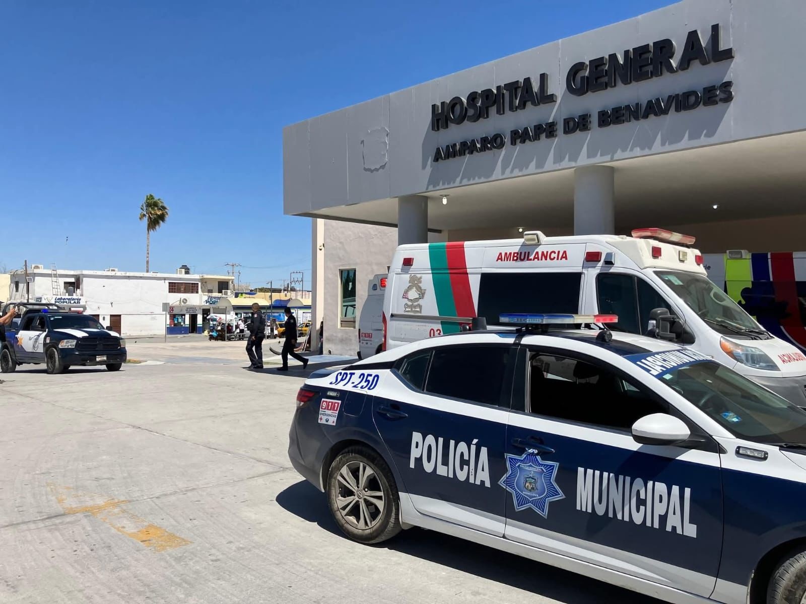 Murió tras brutal golpiza con bate
