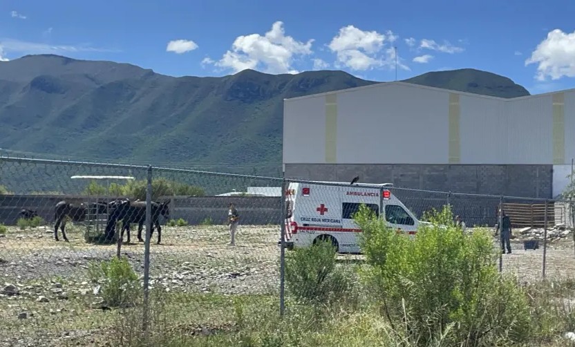 Arrastra caballo a Jinete; está grave