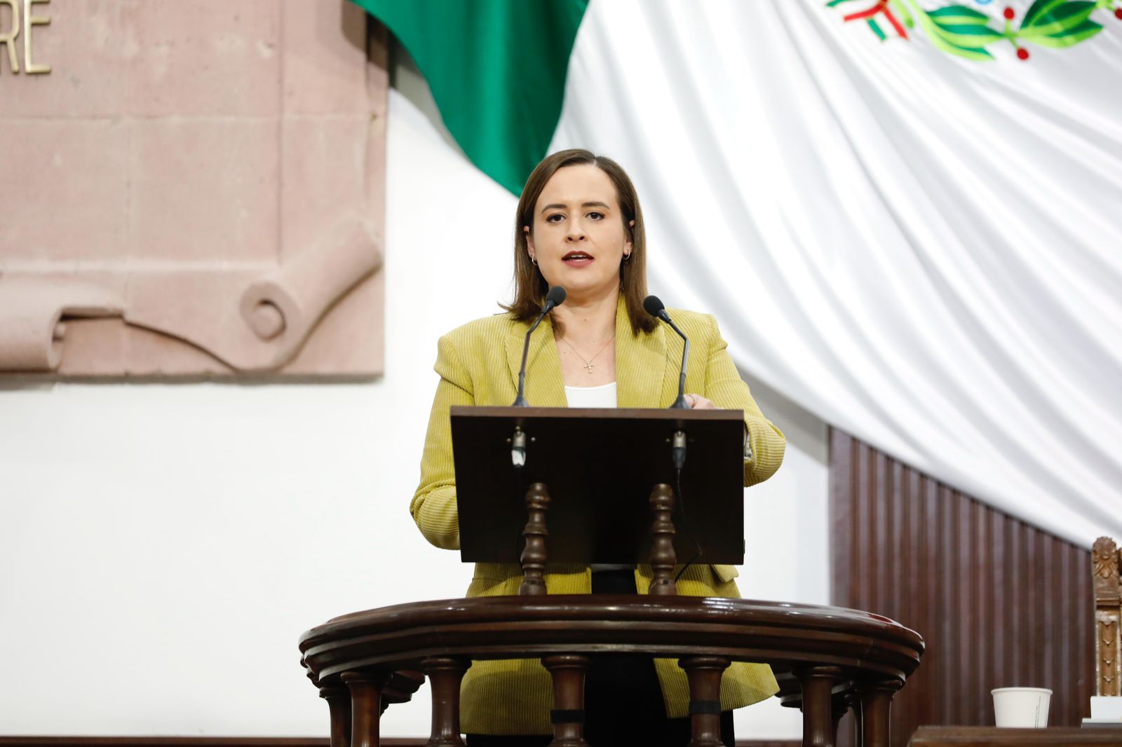 Solicita Beatriz Fraustro mayor inspección a terapias intravenosas