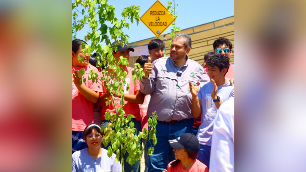 Más árboles, más vida: Ramos Arizpe fortalece su compromiso con el medio ambiente