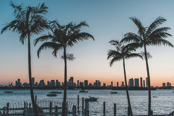 Qué considerar al planear un viaje a Miami desde México para una experiencia inolvidable