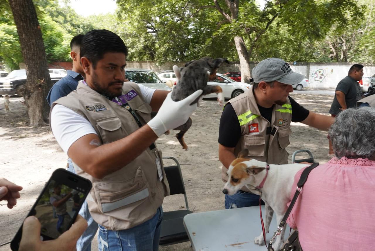Laura Jiménez y Secretaría de Salud ponen en marcha Brigada Integral de Salud Animal