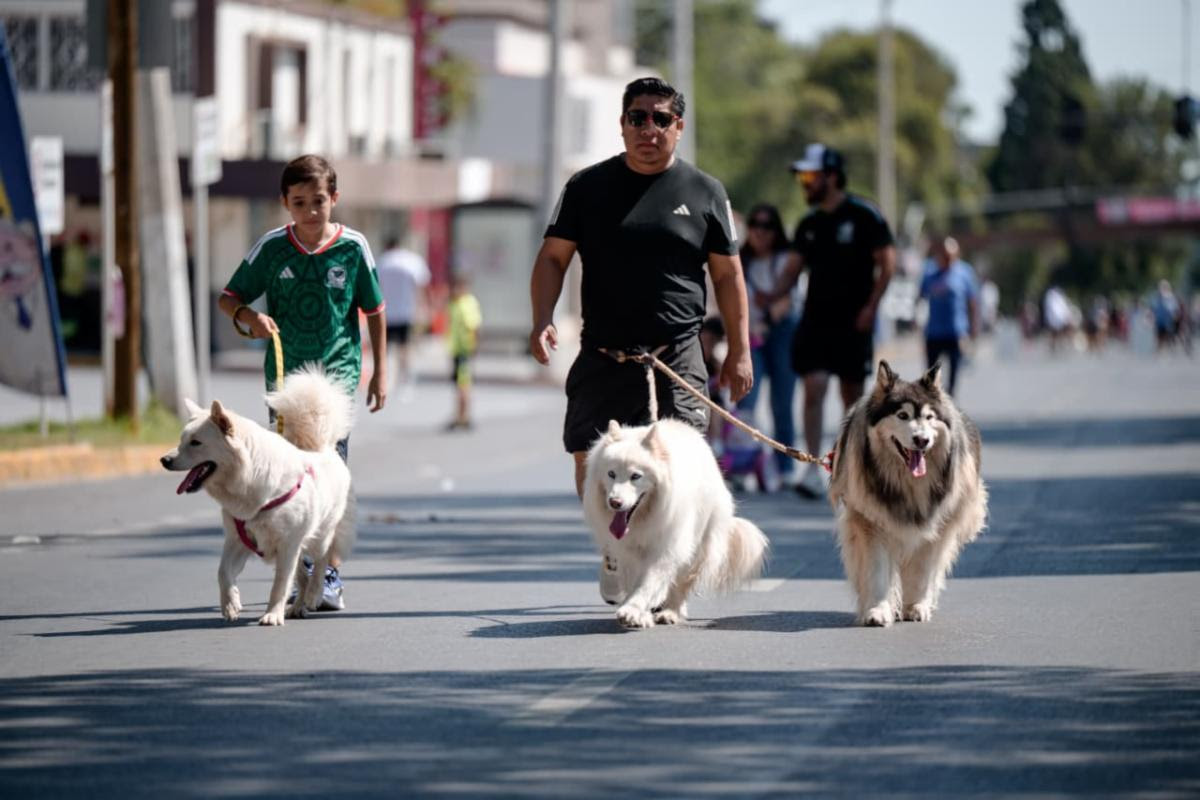 Fortalece Ruta Recreativa la sana convivencia familiar