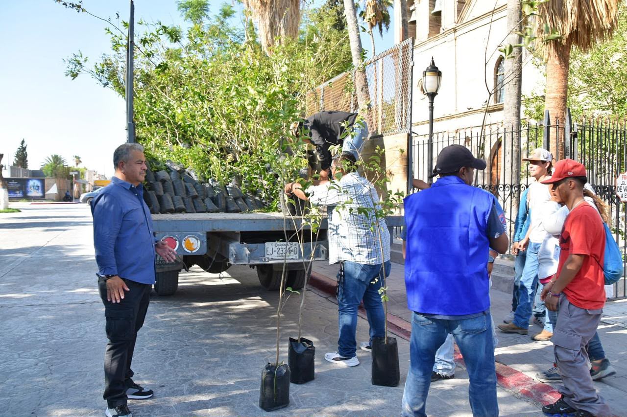Cuatro Ciénegas fortalece sus acciones ambientales con la donación de 500 árboles