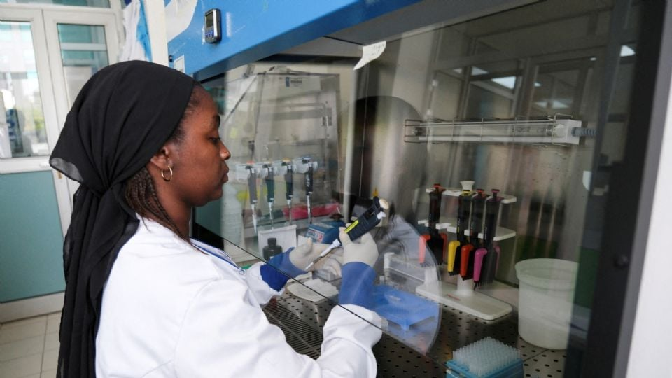 La OMS declarará el fin del brote de hantavirus la próxima semana si no se confirman nuevos casos