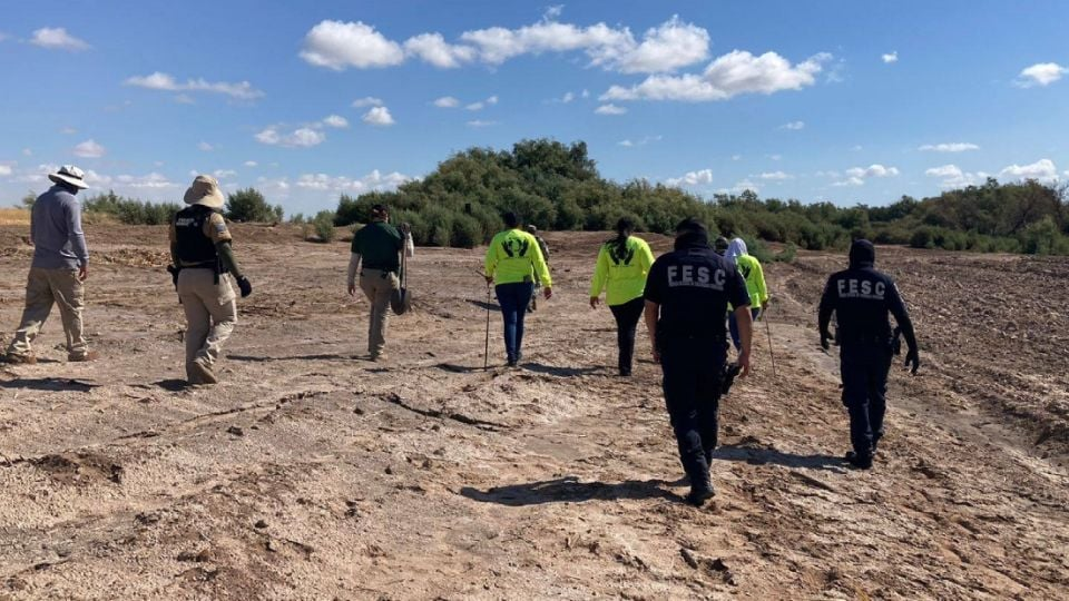 Amnistía Internacional pide al gobierno de Sheinbaum proteger a buscadores tras as3sinato de activista en Guanajuato