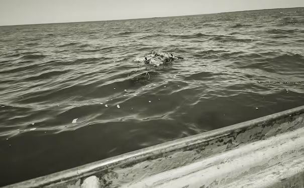 Localizan tres cu3rpos flotando en el mar en Navolato, Sinaloa; estaban envueltos en cobijas y am4rrados con mallas