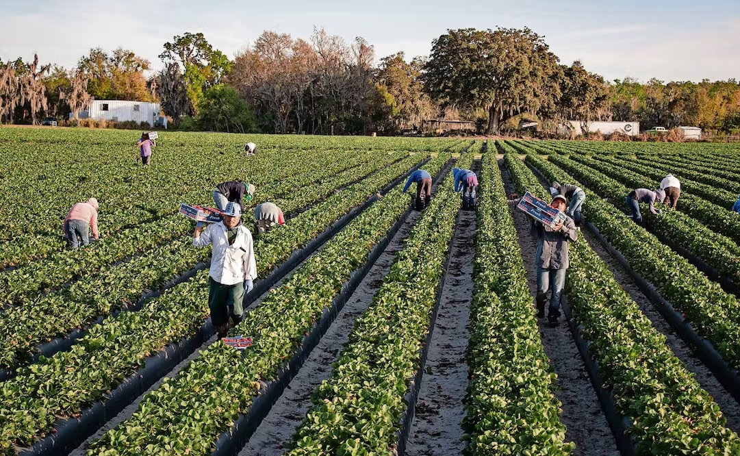 EU emite alerta para que instituciones financieras denuncien a trabajadores migrantes indocumentados; pide informe de actividad sospechosa