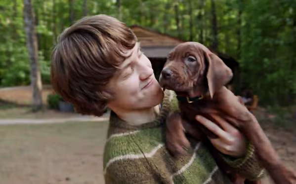 Netflix estrenará la serie «Scooby-Doo, el origen»; fans muestran molestia por el perrito que lo interpretará