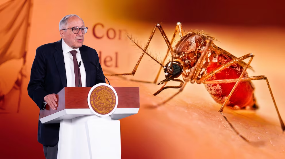 Dengue en México: avanza aprobación de dos vacunas y desarrollo de mosquitos contra virus para reducir 50% los casos
