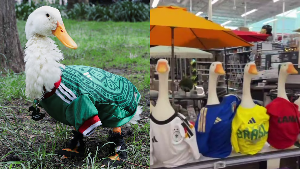 El pato Merlín ya llegó a Canadá: la fiebre del animal viral del Mundial 2026 cruza fronteras