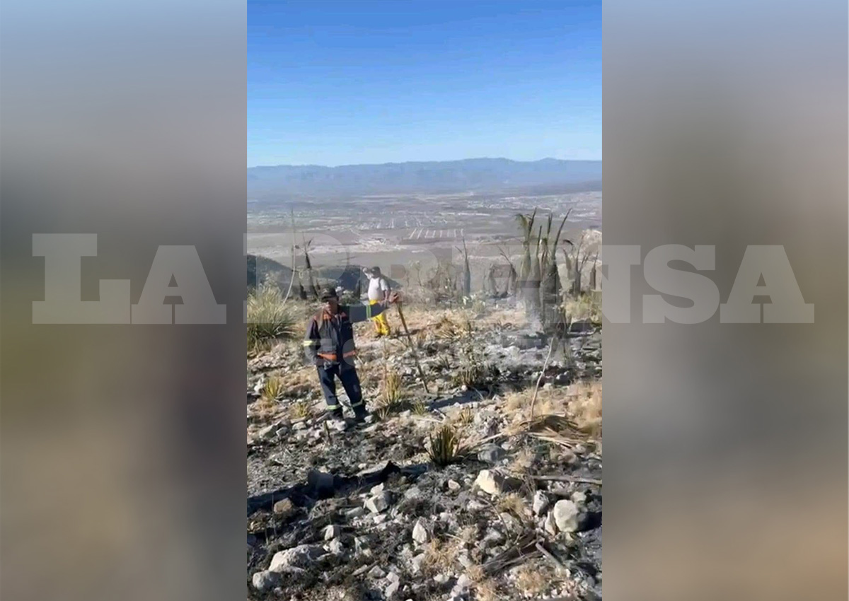 Sofocan brigadistas incendio en cerro La Gloria