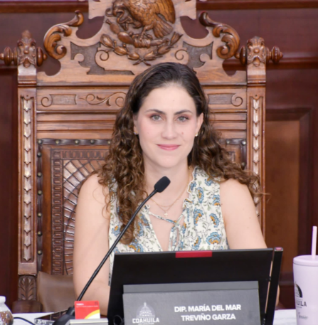 Plantea Diputada agilizar atención en salud mental