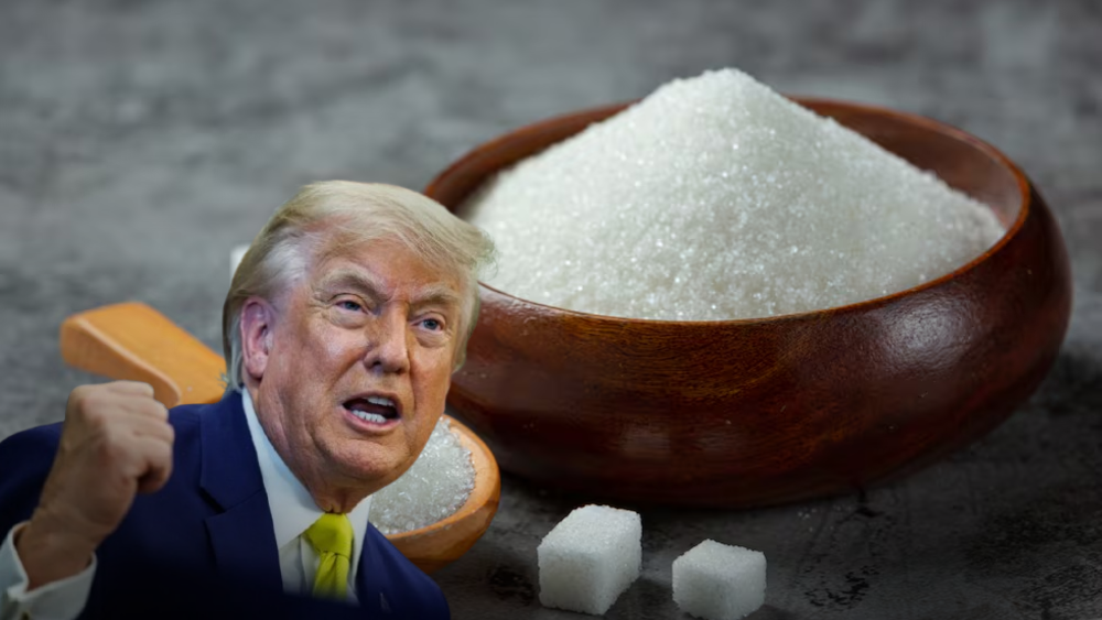 EU triplica cuota de exportación de azúcar mexicana para ciclo 2026-2027; sube a 550 mil toneladas y podría llegar a un millón