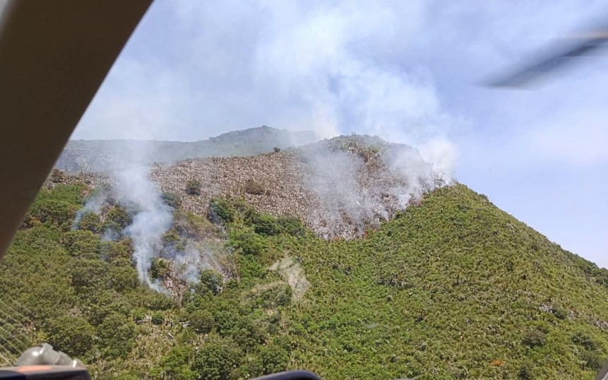 Incendio en El Laberinto ha sido liquidado