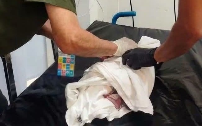 Dan de alta al bebé  Juan de Castaños