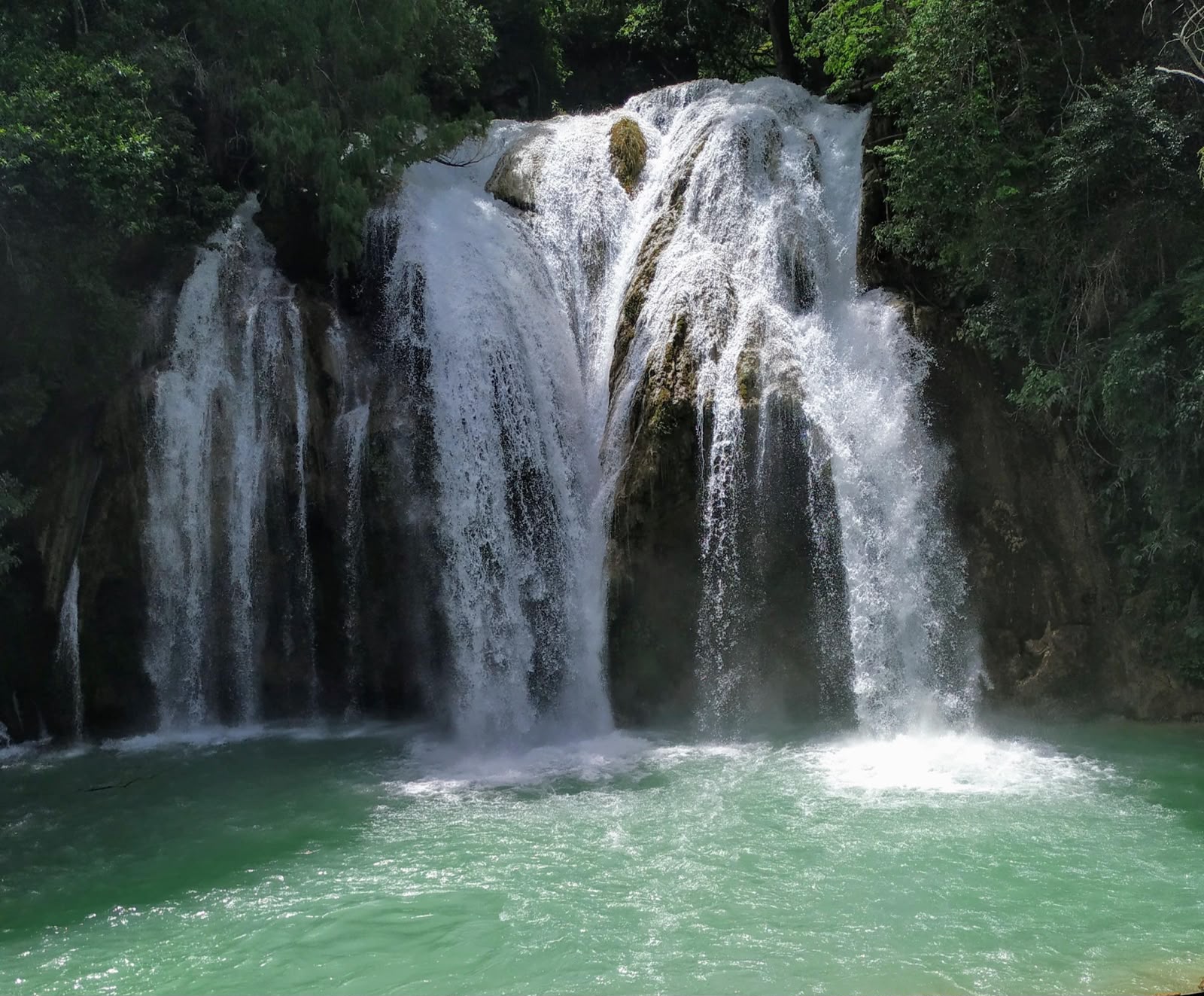 La importancia de los fluidos en nuestra vida diaria