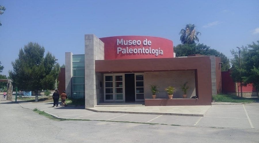 Reafirma Múzquiz como referente internacional en Paleontología