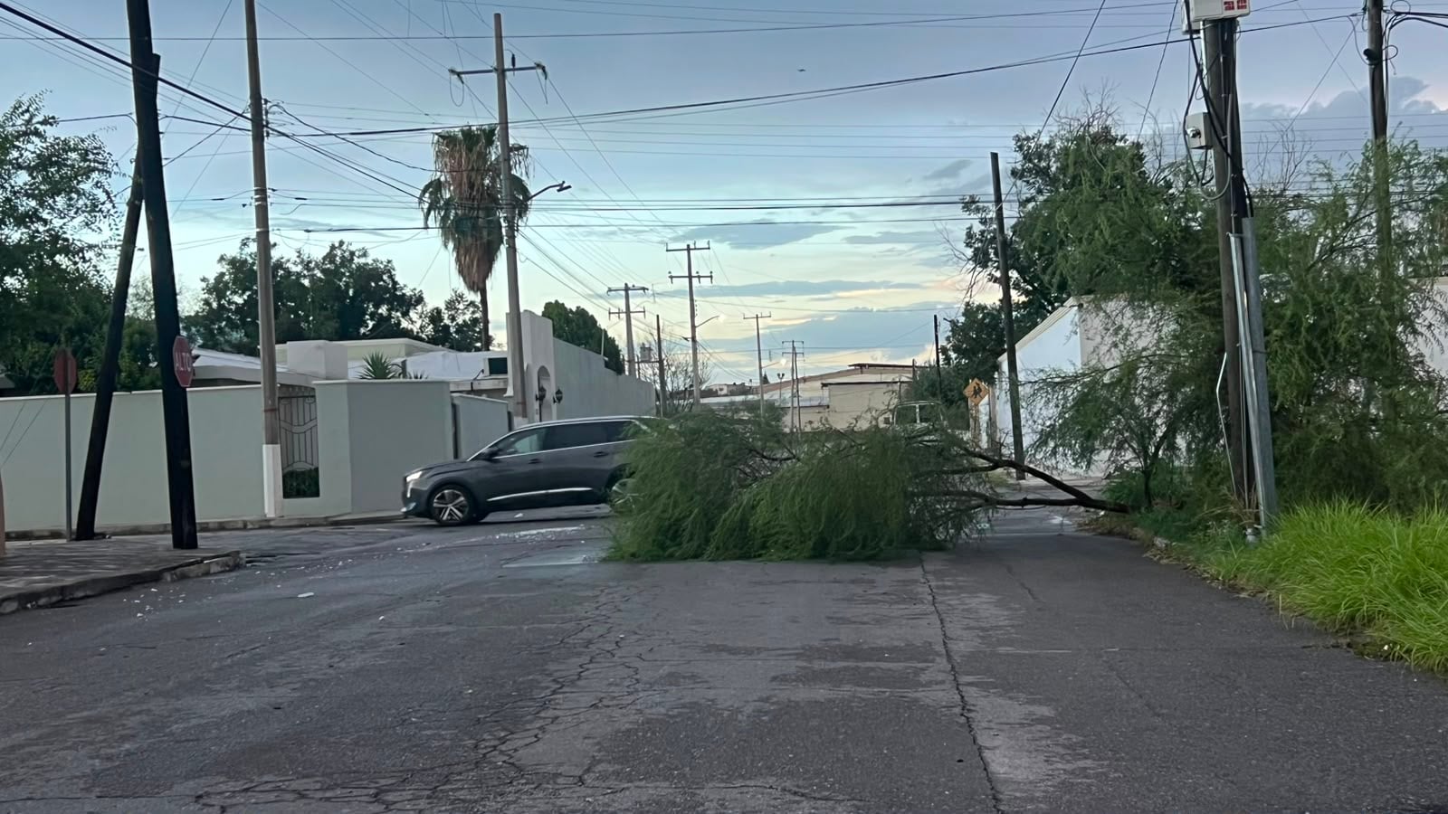 Tras paso de tormenta arrancan reparaciones