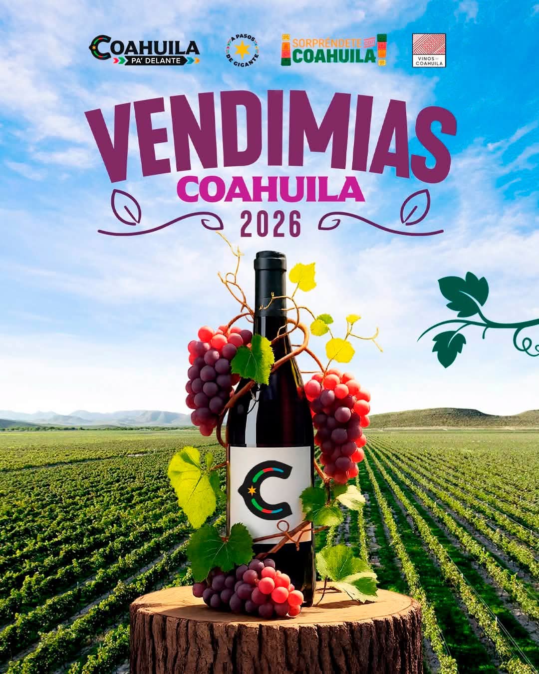 Coahuila fortalece turismo del vino con nuevas vendimias