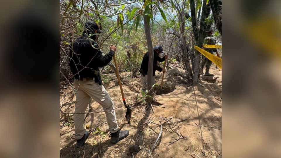 Buscadoras y autoridades hallan cinco fosas clandestinas en Baja California Sur; exhuman seis osamentas