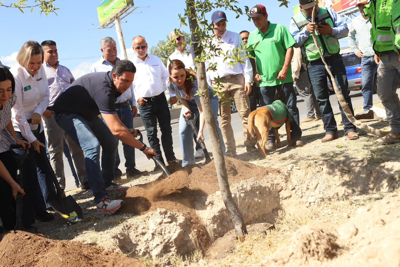PLANTAN MÁS DE 100 MIL ÁRBOLES EN LOS 38 MUNICIPIOS CON LA CAMPAÑA «VERDE VERDE COAHUILA