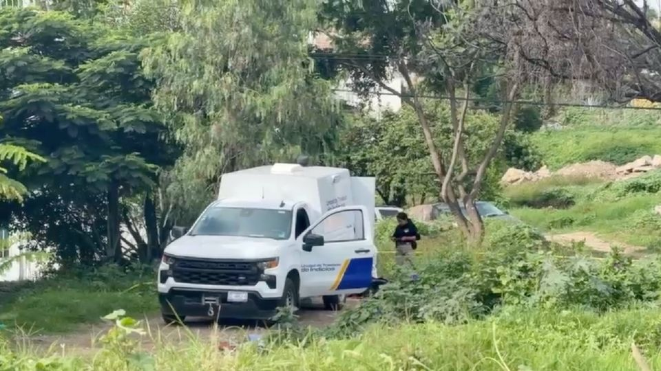 Abandonan los restos de dos personas con huellas de violencia en un camino de terracería en León