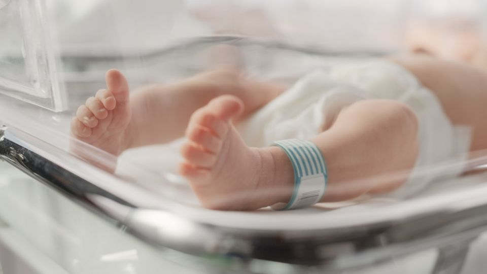 Bebés muert*s por tos ferina en Honduras: van 15 víctimas en 2026, 14 men*res a un año de edad
