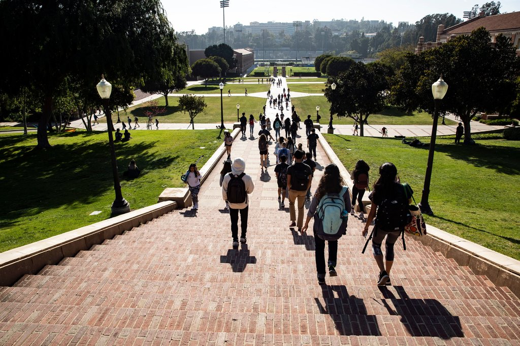 Alertan de pérdida millonaria en Florida por veto a indocumentados en universidades; afectará a más de 49 mil alumnos