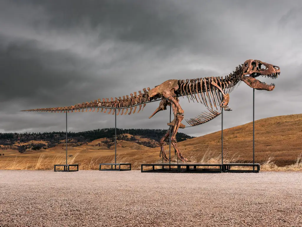 Fósil de T-Rex se subasta en 50 millones de dólares