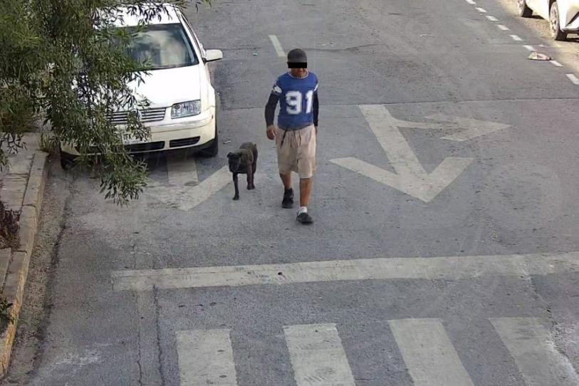 Detienen a hombre en Monterrey por incitar a sus perros a morder a una mujer