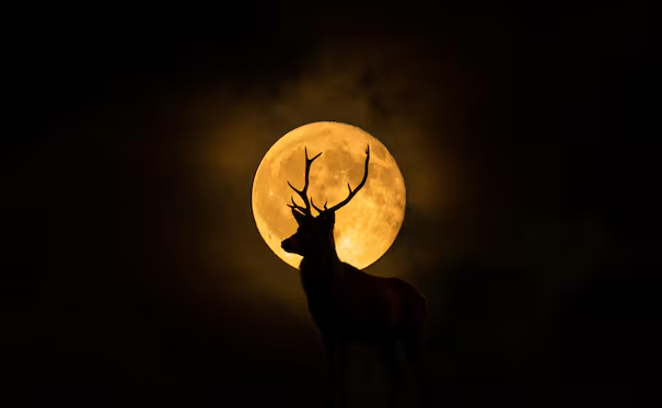 Luna de Ciervo: ¿cuándo y a qué hora se podrá observar el fenómeno astronómico en México?; aquí te lo decimos